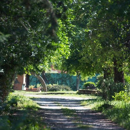 La Villa Delle Rose Řím Exteriér fotografie