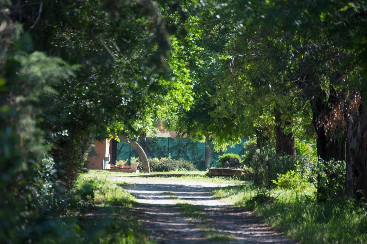 La Villa Delle Rose Řím Exteriér fotografie